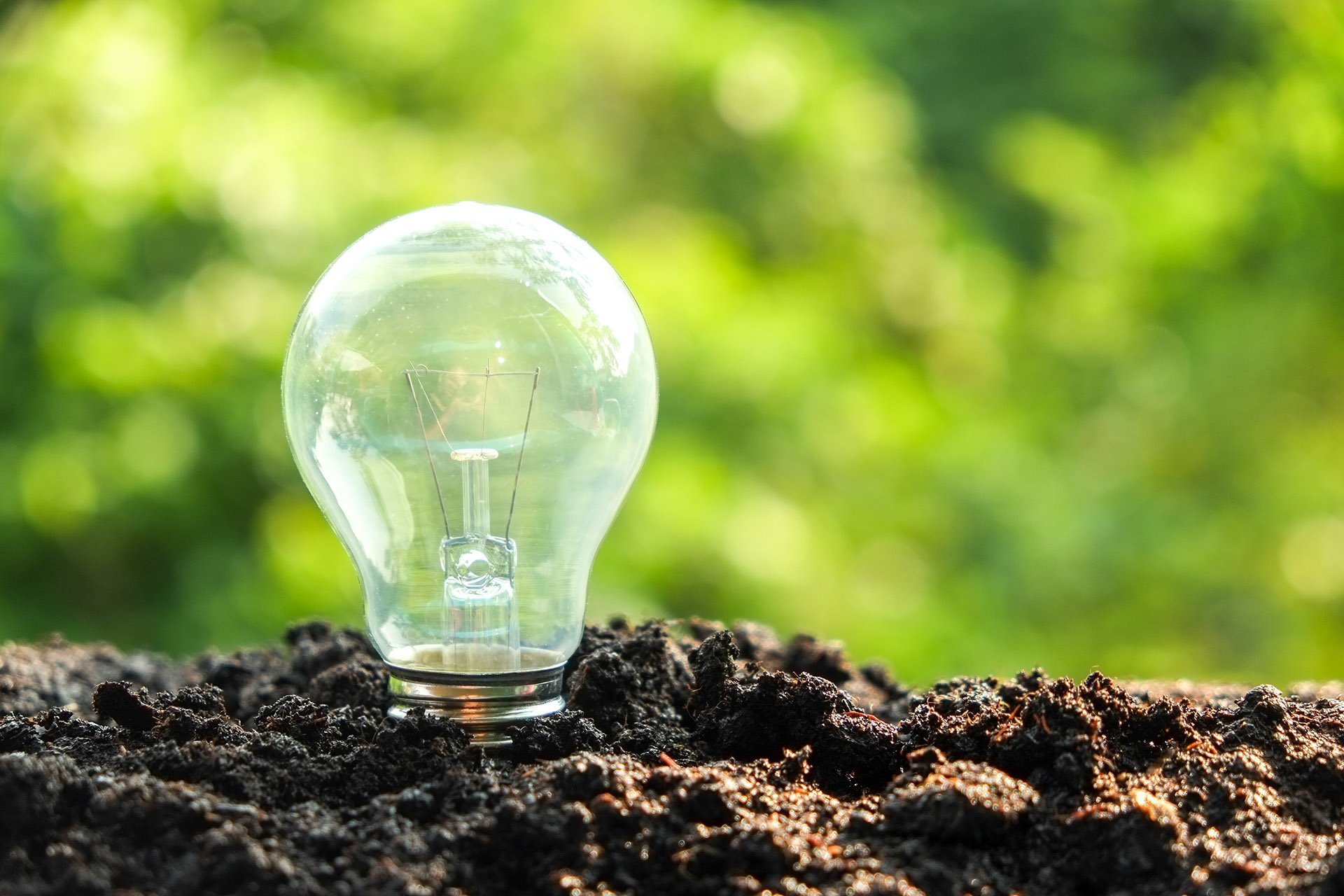 Want to Live a More Sustainable Lifestyle?